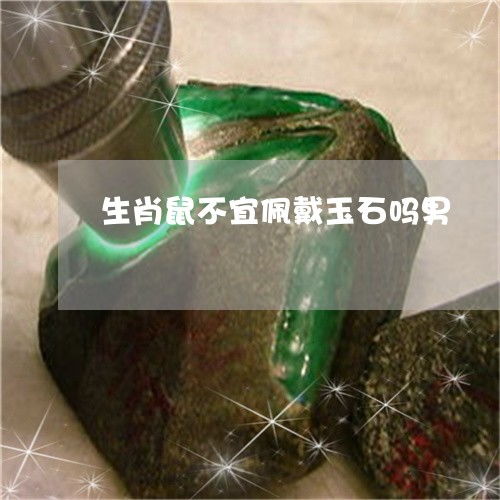 三分之一：属鼠者 梦境解析