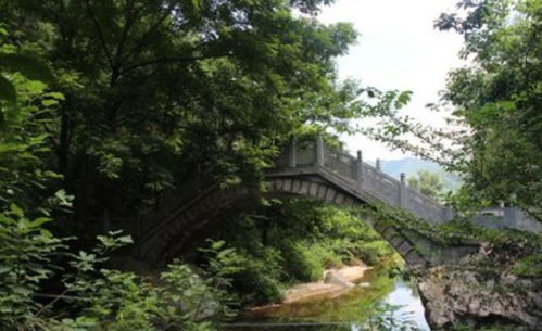 五柳风景区：荒郊野外实锤