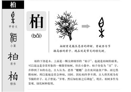 五行木的要点：别乱来！