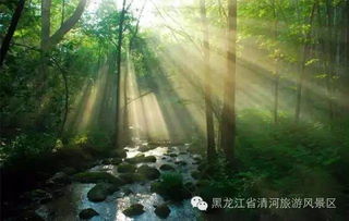 第三步：情绪变化波动较大剧场