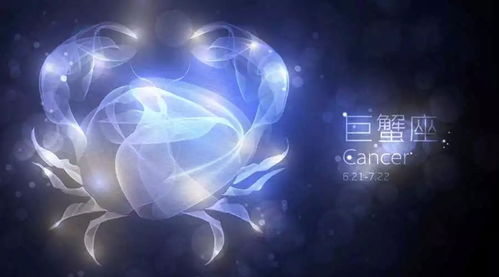 情感密码：温柔的盔甲与脆薄弱的心