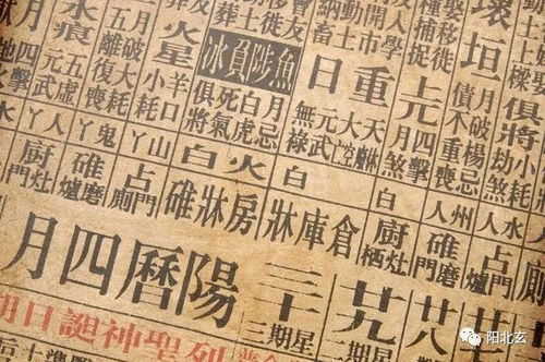 你的四柱：辛亥 庚子 癸酉 庚申 大运：辛丑 壬寅 癸卯 甲辰 乙巳 丙午