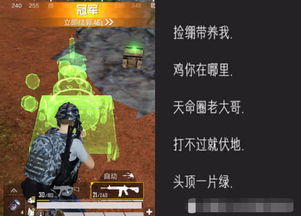 网名背后的故事