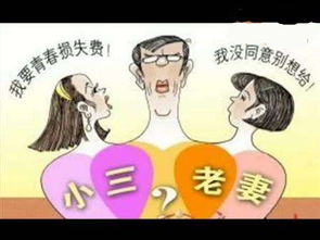 生肖与婚变：12生肖婚姻大逃杀