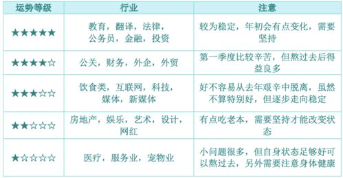 鸡飞狗跳的一年