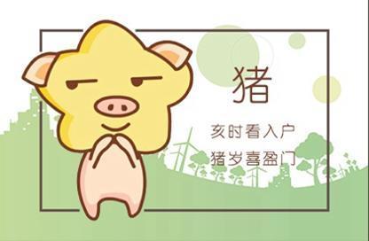 属猪女性今天运势财运如何？