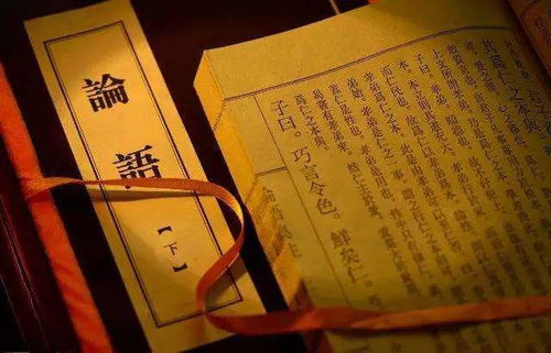 龙龙这么可爱 凭什么不是顶流？
