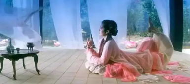 星座的指引与迷途