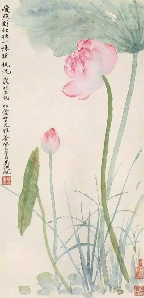 飞龙在天横行天下六月荷花出淤泥三令五申一在唱，只当两耳边风吹，这生肖是哪个？