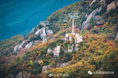 旺季与淡季的市场价格差异