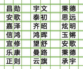 2. 全球范儿型