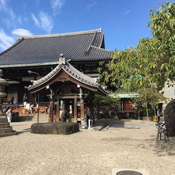 7. 购物——买买买还是别买别买？