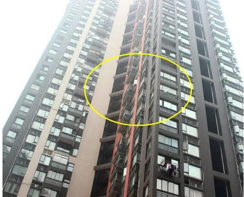 住在7楼是一种什么神仙体验？看完我哭了