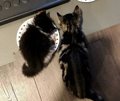 逃离害怕