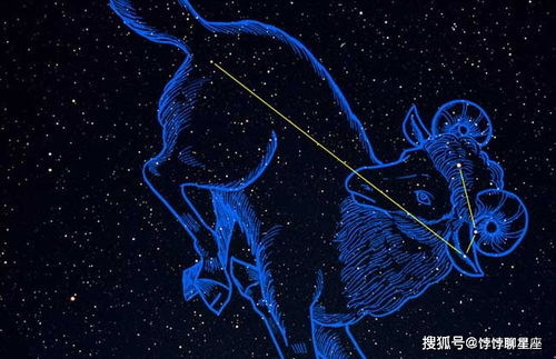 处女男和哪个星座女最来电？看完笑到裂开！