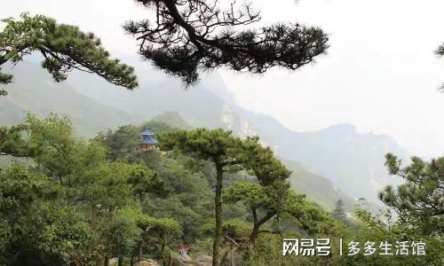【暴走攻略】上海社畜的庐山逃亡记