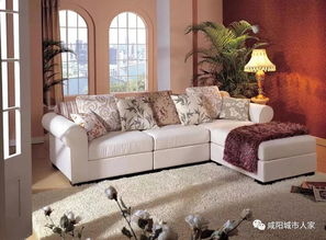 1、  东向客厅壁纸选择黄色