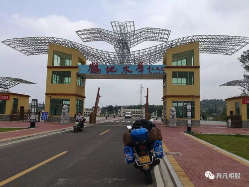 第二站：炮车古栗园， 树比人老