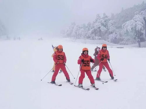 二、周末童话之旅：别把童话想成迪士尼，只是个普通的小镇加点灯光秀罢了。