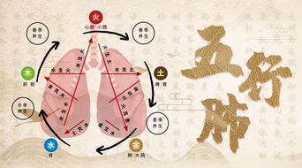 往南方走：寻找火元素的旅程