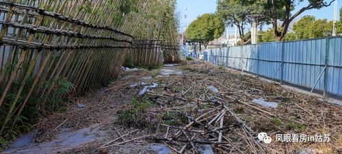 苏州檀园那点事儿——扒一扒它到底为啥没喽