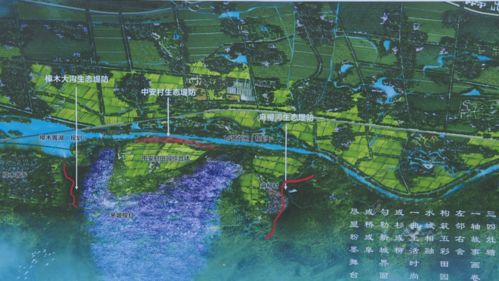 五天四夜作死行程（2026年特别版）