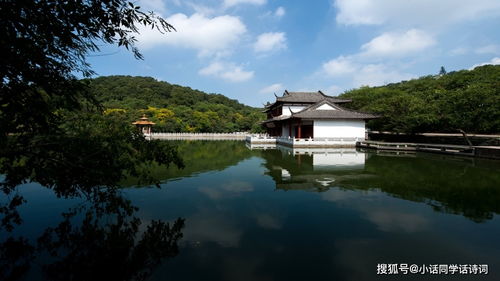 小区大妈比导游还野 凌晨三点就开嗓