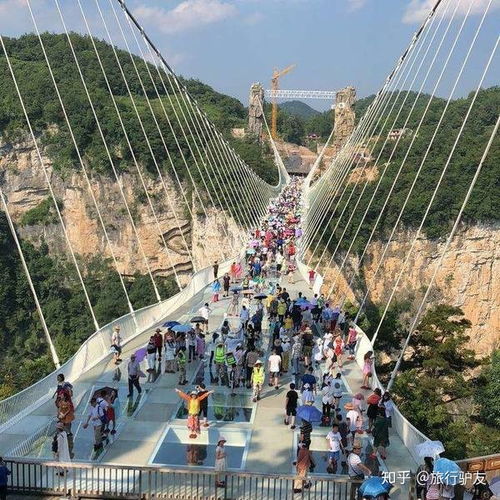 救命！花台风景区这波操作也太骚了吧！2026年属马的人必看！
