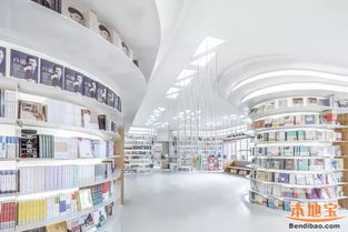 在城市迷雾中寻找光芒：恒星书店的寻觅