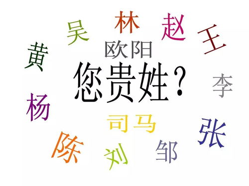 乜和聂是否属于同一个姓氏？这个姓氏有什么特别的由来吗？