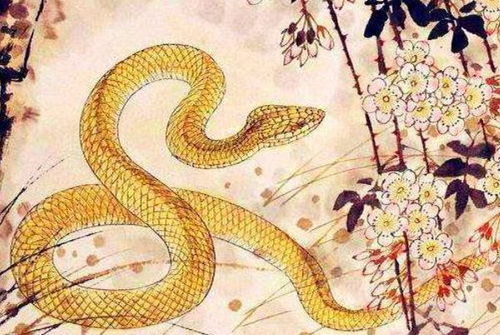 属蛇四柱喜水，亥时出生的人命不好，这说法科学吗？