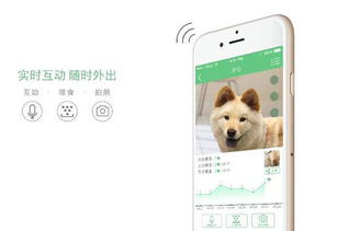 微信软妹名：仙气可爱酷，多达523个好听名字推荐！