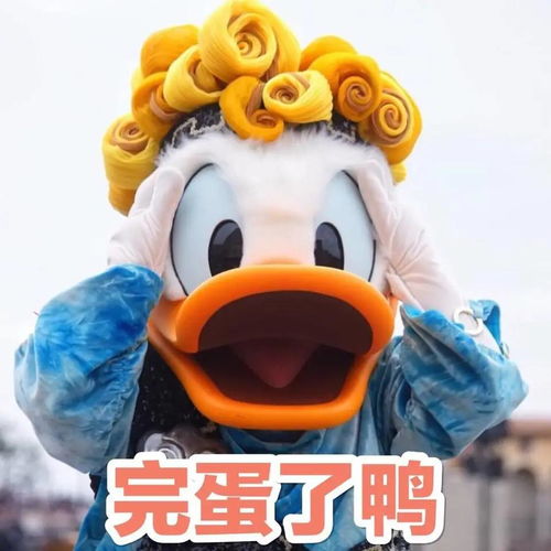 属狗的忠诚， 但也别太固执