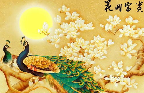 癸水命身强八字无财，如何调整八字使其财运亨通？