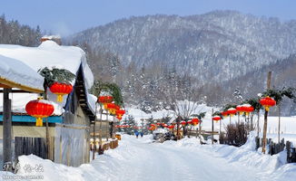 那个雪圈，滑得停不下来