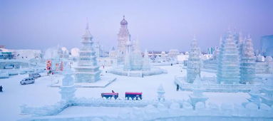冬日奇遇，孩子眼中的冰雪童话世界（别想看懂！）