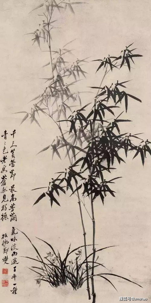 较小插曲：风水里的竹子