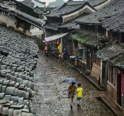 震惊！宜宾叙州区藏着2026年最邪门的旅游秘密