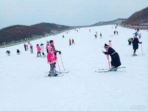 金山滑雪场自驾游：是享受雪地驰骋的激情，还是漫步湖光山色的宁静？