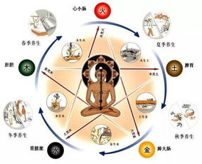 哪个三线城市五行属木最旺？