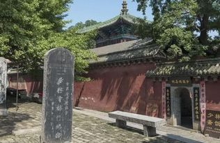 神秘编号系统：数字背后隐藏哪些？