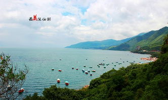 天啊！抚仙湖竟然不是澄江的全部？！三条连本地人都不知道的疯狂自驾路线