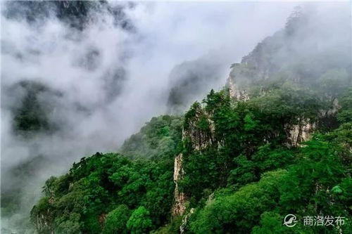 别光顾着嗨，平安第一啊！