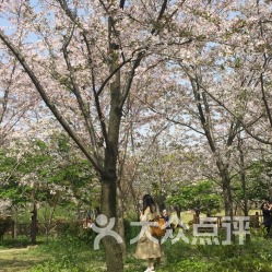 惯与平安的问题