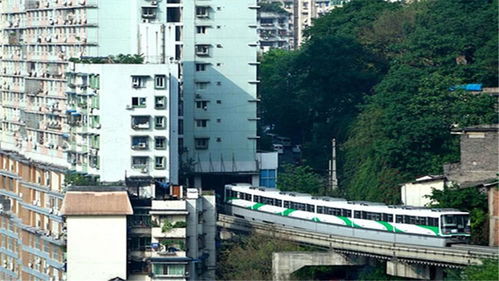 从泉州到重庆：说走就走的山城之旅