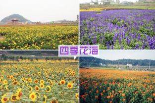 那些年我们追过的“美”