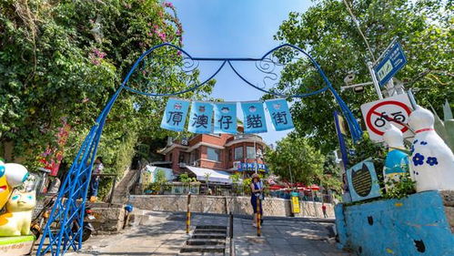 必去景点？不如说是猫咪选妃现场