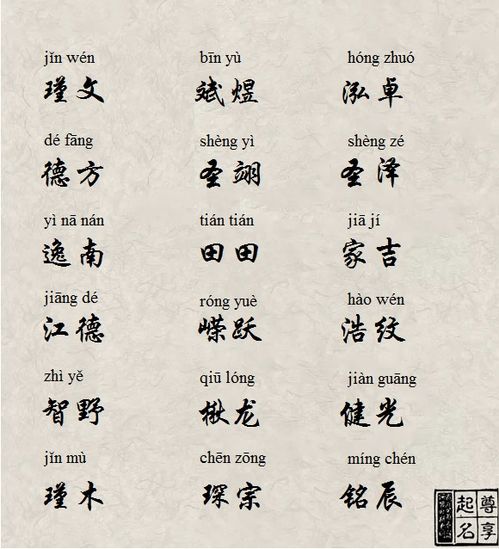 生肖与五行取名法：让你的孩子运势亨通！