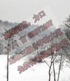 踏雪无痕打一生肖是什么生肖？踏雪无痕打一数字是多少？