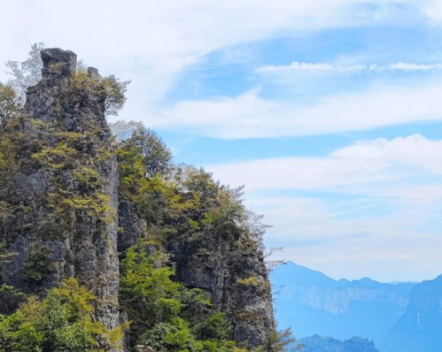 Day1：酒店瘫成狗